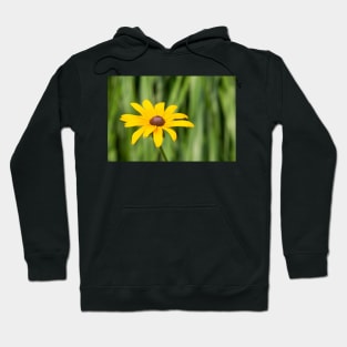 Black Eyed Susan Hoodie